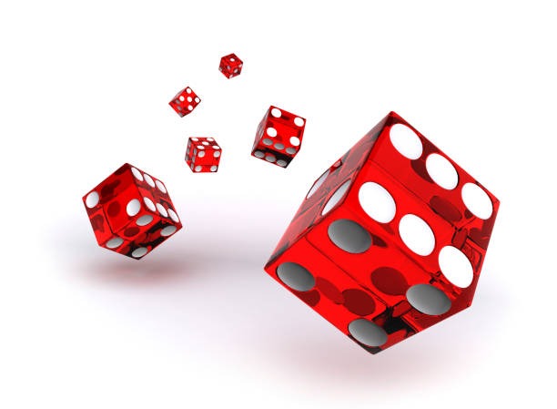 roam logs all entries and outcomes for your records Entry history and payout record on roam